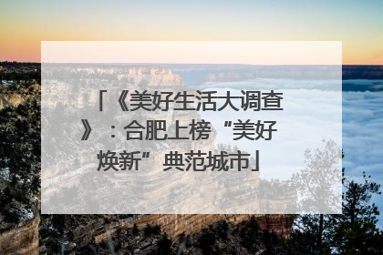 《美好生活大调查》：合肥上榜“美好焕新”典范城市
