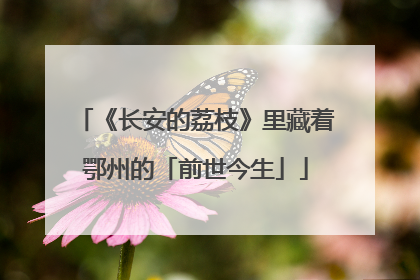 《长安的荔枝》里藏着鄂州的「前世今生」