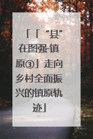 「“县”在图强·镇原③」走向乡村全面振兴的镇原轨迹