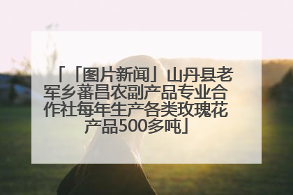 「图片新闻」山丹县老军乡蕃昌农副产品专业合作社每年生产各类玫瑰花产品500多吨