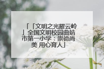 「文明之光耀云岭」全国文明校园曲靖市第一小学：崇德尚美 用心育人