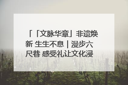 「文脉华章」非遗焕新 生生不息｜漫步六尺巷 感受礼让文化浸润的“巷”往生活