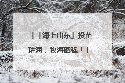 「海上山东」投苗耕海，牧海图强！