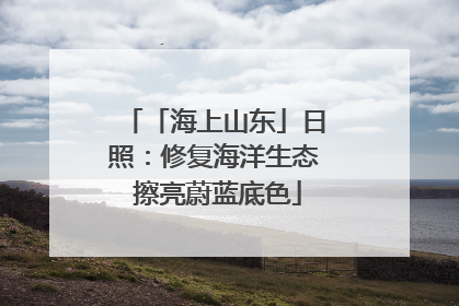 「海上山东」日照：修复海洋生态 擦亮蔚蓝底色