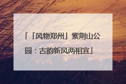 「风物郑州」紫荆山公园：古韵新风两相宜