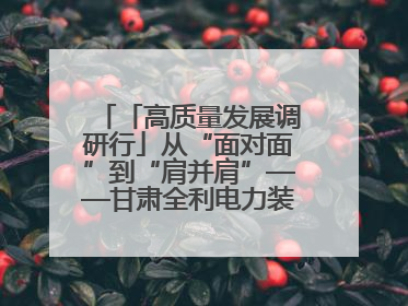 「高质量发展调研行」从“面对面”到“肩并肩”——甘肃全利电力装备生产制造项目一线见闻