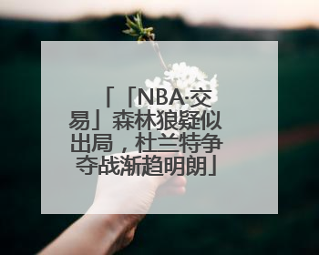 「NBA·交易」森林狼疑似出局，杜兰特争夺战渐趋明朗