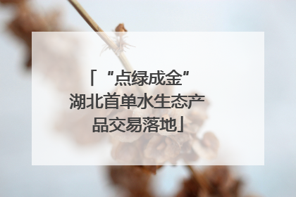 “点绿成金” 湖北首单水生态产品交易落地