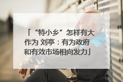 “特小乡”怎样有大作为 刘亭：有为政府和有效市场相向发力