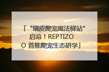 “瑞皮爬宠魔法驿站” 启幕！REPTIZOO 首推爬宠生态研学