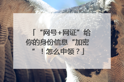 “网号+网证”给你的身份信息“加密”！怎么申领？