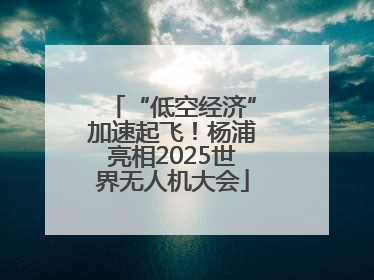 “低空经济”加速起飞！杨浦亮相2025世界无人机大会