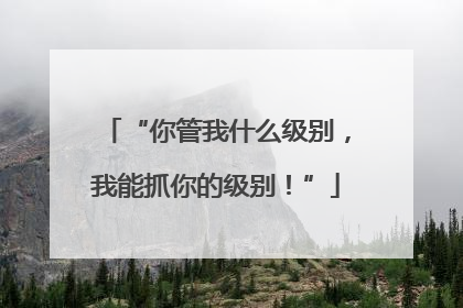 “你管我什么级别，我能抓你的级别！”