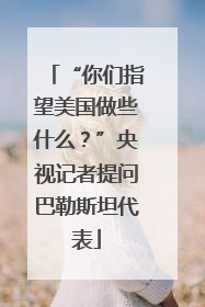“你们指望美国做些什么？”央视记者提问巴勒斯坦代表