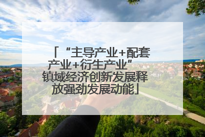 “主导产业+配套产业+衍生产业” 镇域经济创新发展释放强劲发展动能
