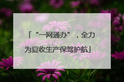 “一网通办”，全力为夏收生产保驾护航