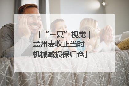 “三夏”视觉｜孟州麦收正当时 机械减损保归仓