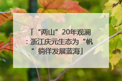 “两山”20年观澜：浙江庆元生态为“帆”徜徉发展蓝海