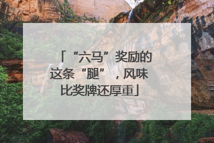 “六马”奖励的这条“腿”，风味比奖牌还厚重