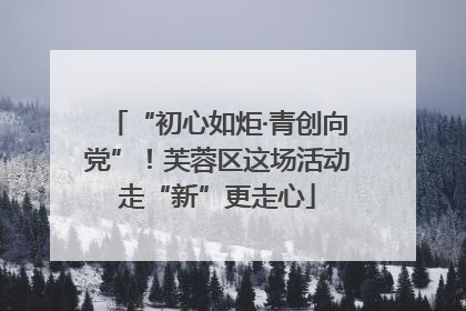 “初心如炬·青创向党”！芙蓉区这场活动走“新”更走心