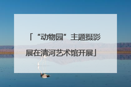 “动物园”主题摄影展在清河艺术馆开展