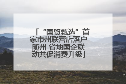 “国贸甄选”首家市州联营店落户随州 省地国企联动共促消费升级