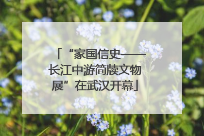 “家国信史——长江中游简牍文物展”在武汉开幕