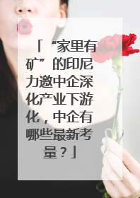 “家里有矿”的印尼力邀中企深化产业下游化，中企有哪些最新考量？