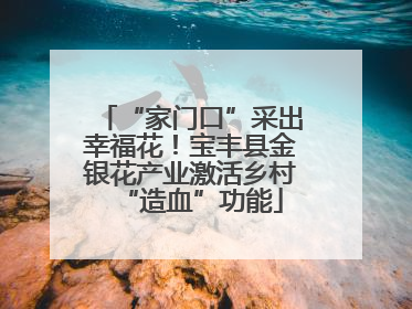 “家门口”采出幸福花！宝丰县金银花产业激活乡村“造血”功能