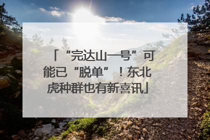 “完达山一号”可能已“脱单”！东北虎种群也有新喜讯