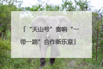 “天山号”奏响“一带一路”合作新乐章