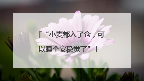 “小麦都入了仓，可以睡个安稳觉了”