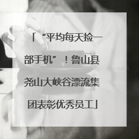 “平均每天捡一部手机”！鲁山县尧山大峡谷漂流集团表彰优秀员工