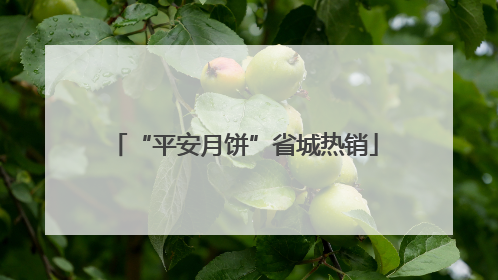 “平安月饼”省城热销
