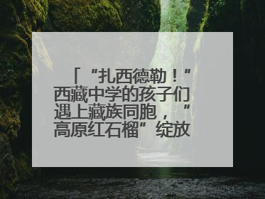 “扎西德勒！”西藏中学的孩子们遇上藏族同胞，“高原红石榴”绽放荆楚大地
