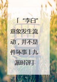 “李白”意象发生流动，并不是件坏事丨九派时评
