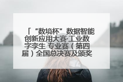 “数境杯”数据智能创新应用大赛·工业数字孪生 专业赛（第四届）全国总决赛及颁奖典礼成功举办