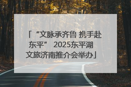“文脉承齐鲁 携手赴东平” 2025东平湖文旅济南推介会举办