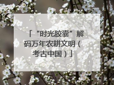 “时光胶囊”解码万年农耕文明（考古中国）
