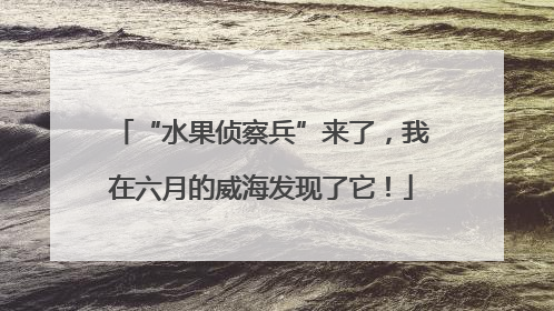 “水果侦察兵”来了，我在六月的威海发现了它！
