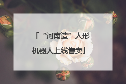 “河南造”人形机器人上线售卖
