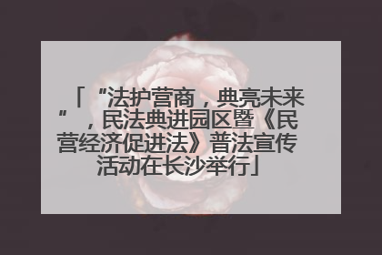“法护营商，典亮未来”，民法典进园区暨《民营经济促进法》普法宣传活动在长沙举行
