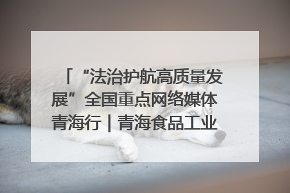 “法治护航高质量发展”全国重点网络媒体青海行｜青海食品工业协会：架起“青字号”美食的产业化桥梁
