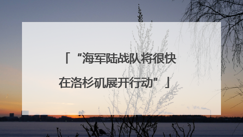 “海军陆战队将很快在洛杉矶展开行动”