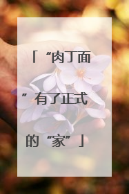 “肉丁面”有了正式的“家”