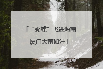 “蝴蝶”飞进海南 厦门大雨如注