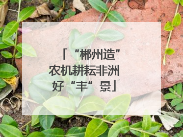 “郴州造”农机耕耘非洲好“丰”景