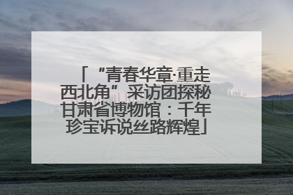 “青春华章·重走西北角”采访团探秘甘肃省博物馆：千年珍宝诉说丝路辉煌