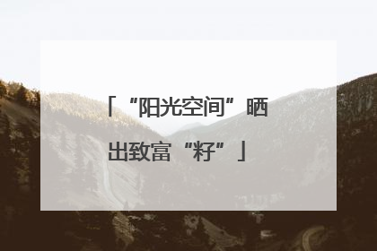 “阳光空间”晒出致富“籽”