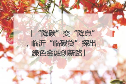 “降碳”变“降息”，临沂“临碳贷”探出绿色金融创新路